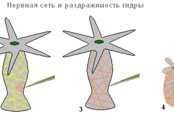 Tor зеркала